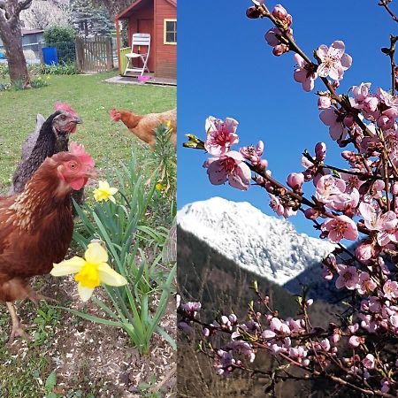 Detente Nature Rando, Ski , Thermes Allevard Ngoại thất bức ảnh